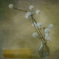 canvas-print-books