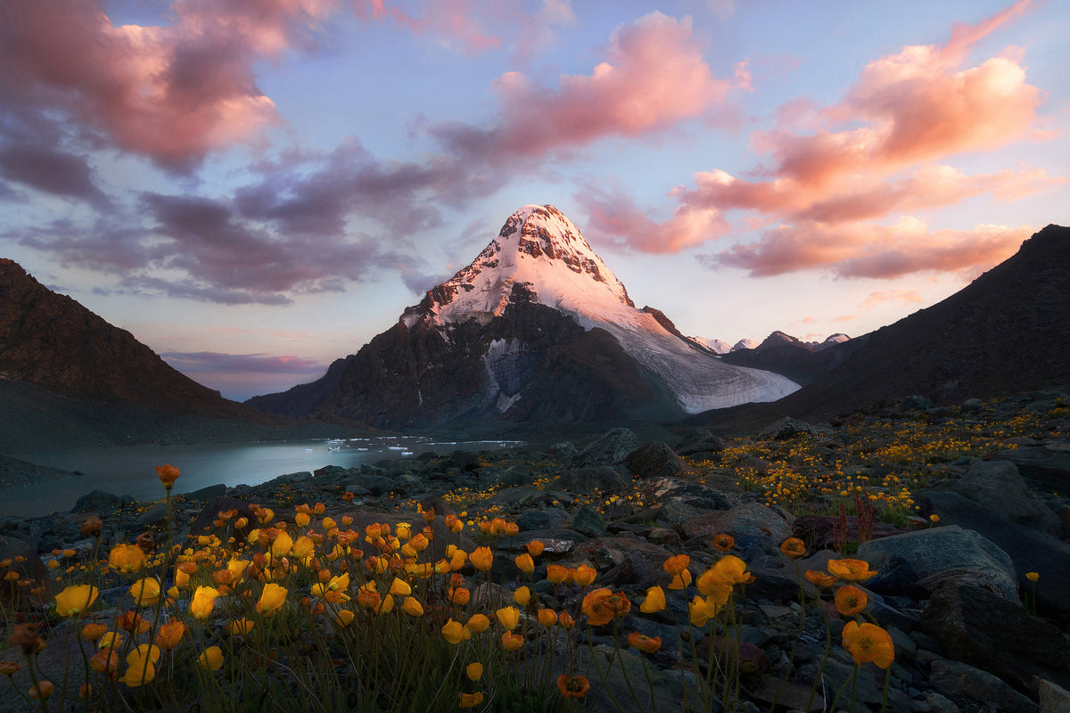 aluminium-print-snowy-peak-x