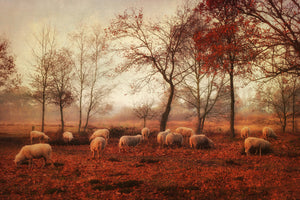 framedposter-print-last-days-of-autumn