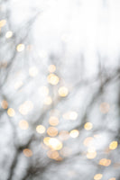 canvas-print-winter-lights-2