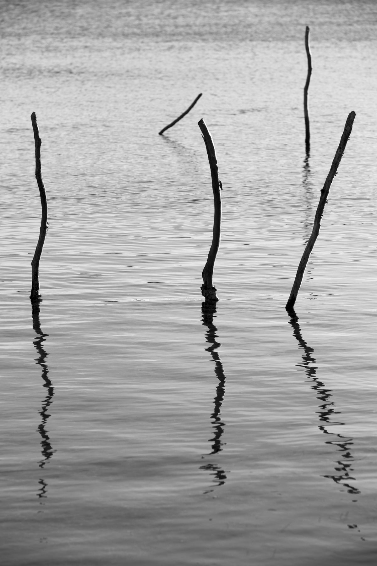framedcanvas-print-reflected-stillness