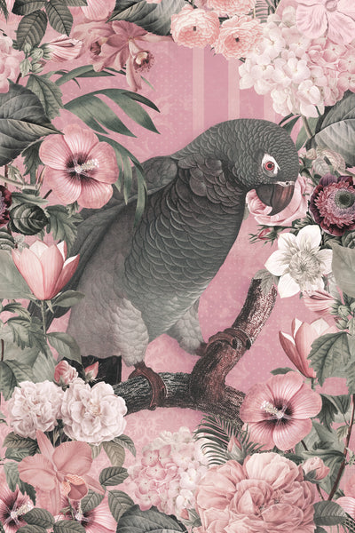 poster-print-the-parrots-paradise-garden-3-pastel-pink