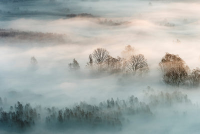 poster-print-winter-fog