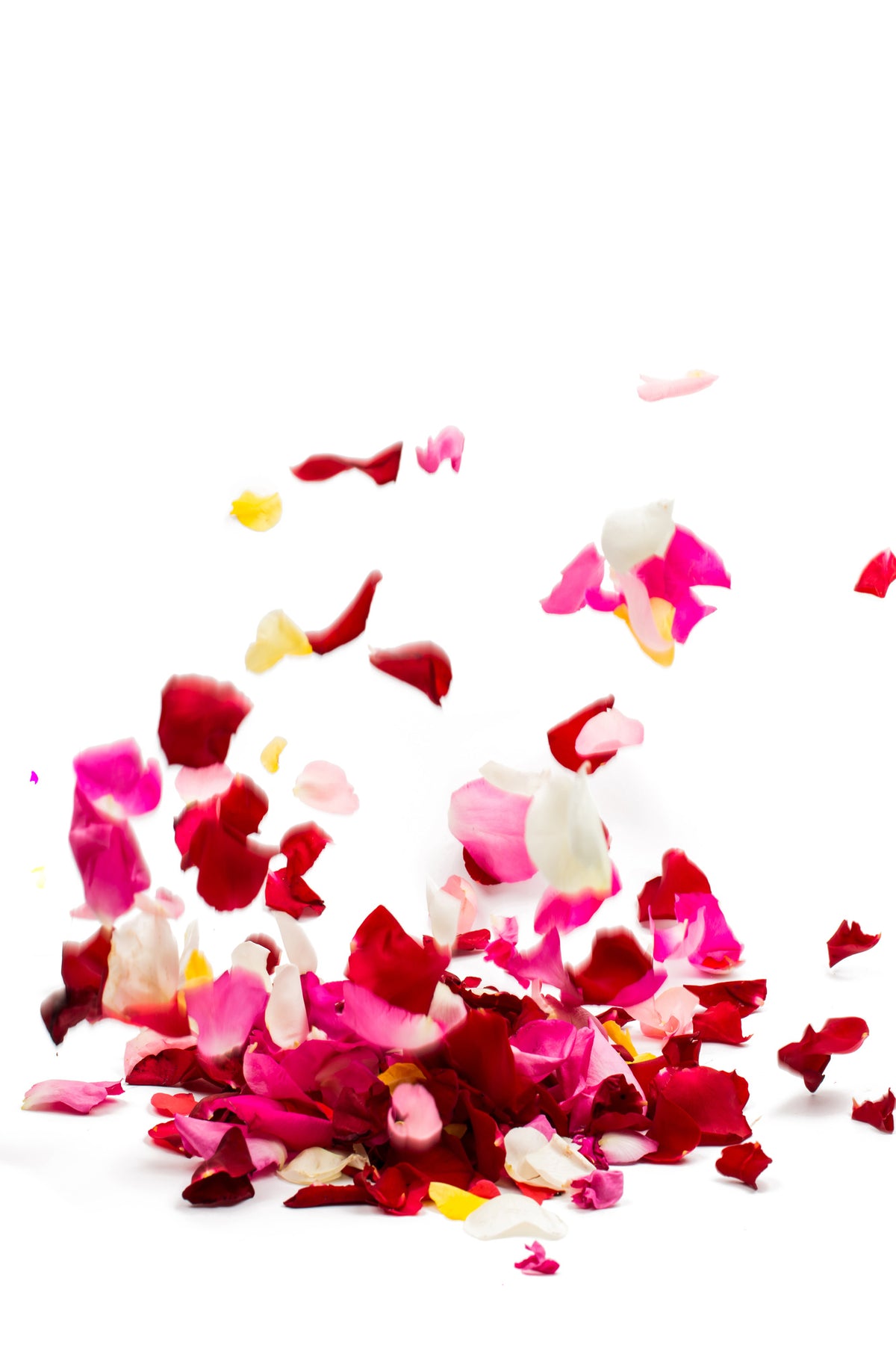 canvas-print-bed-of-rose-foliage