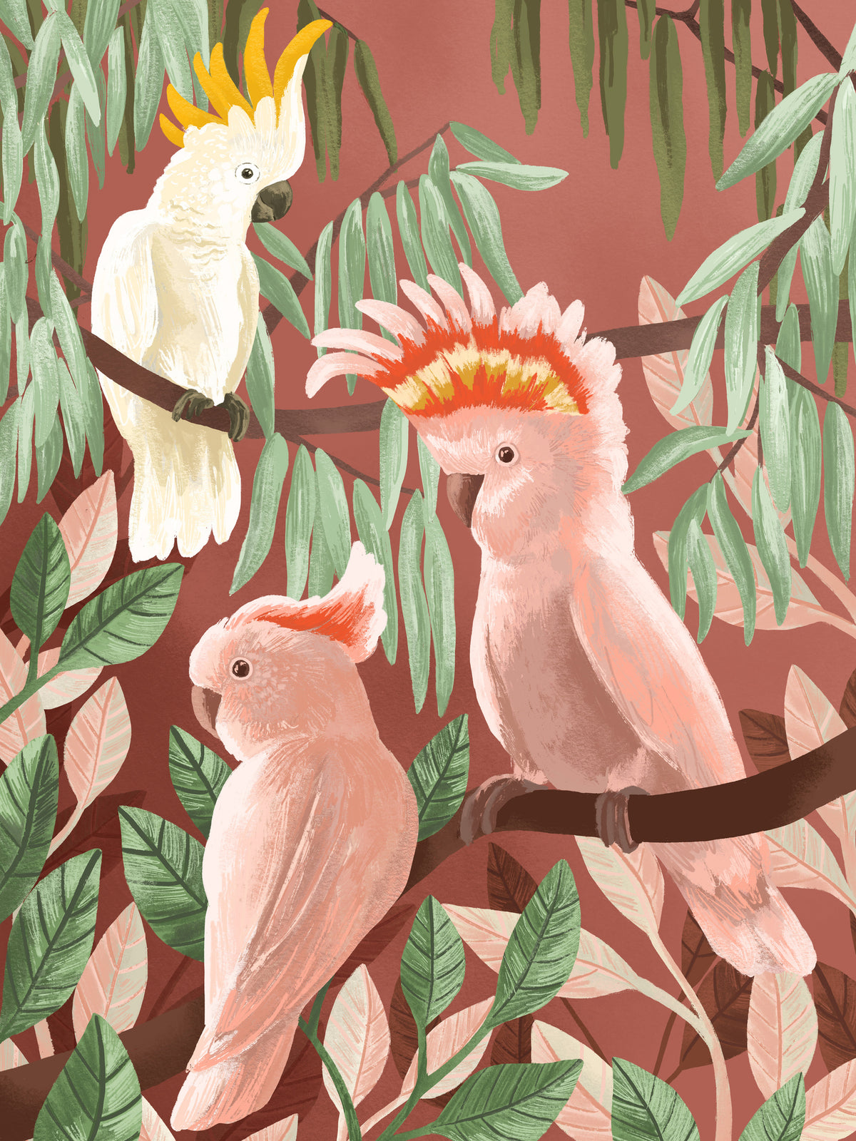 framedposter-print-cockatoos