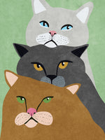 aluminium-print-cat-trio