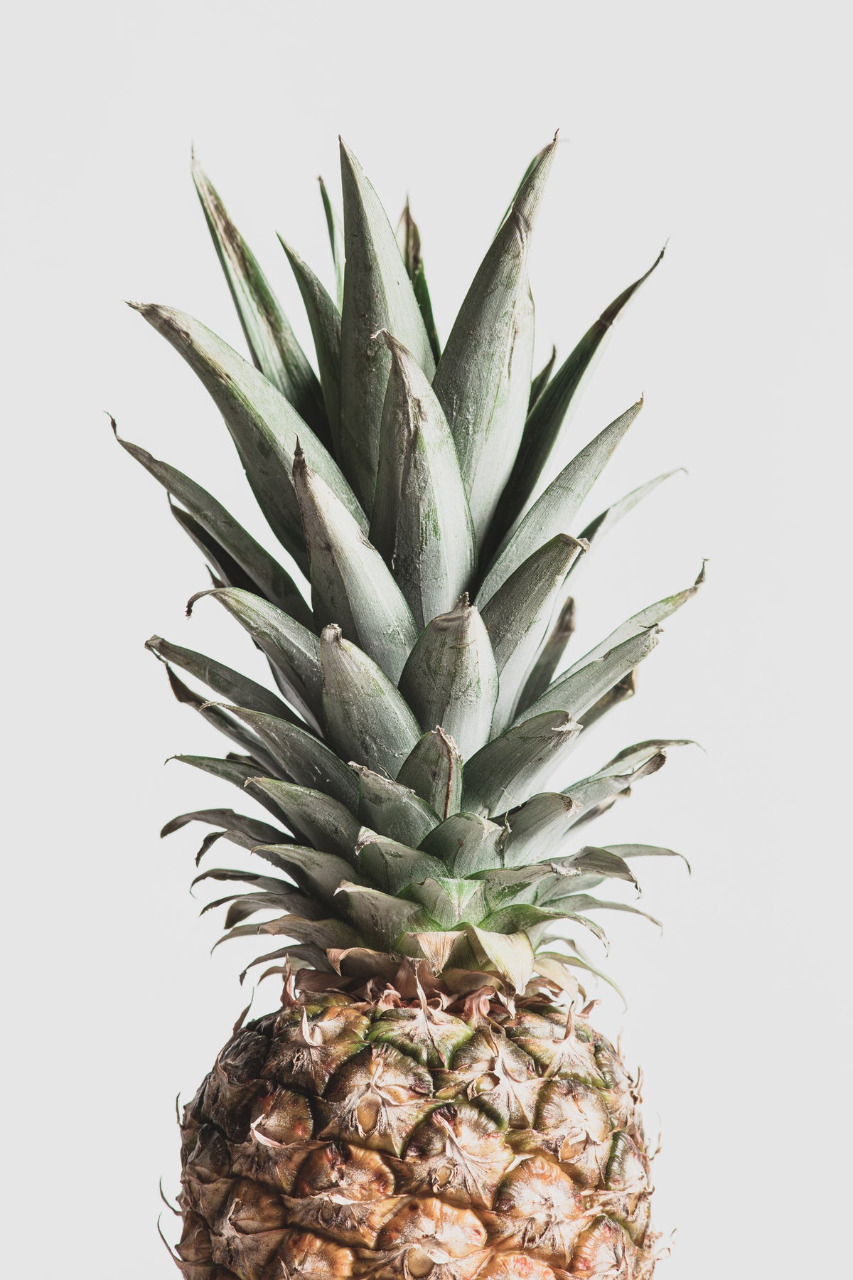 acrylic-print-pineapple-natural