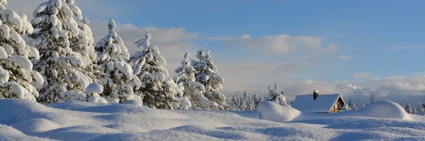 panoramic-canvas-print-beautiful-snow-landscape-panorama