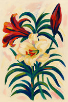 framedposter-print-lily-flower-3