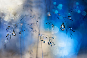 framedcanvas-print-blue-rain