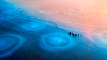 aluminium-print-frozen-world