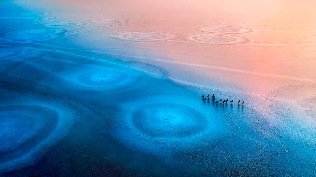 aluminium-print-frozen-world