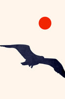 aluminium-print-seagull