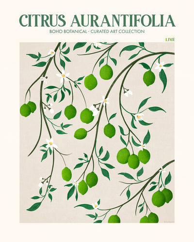 poster-print-botanical-lime-bliss