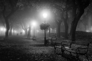 canvas-print-foggy-day-x