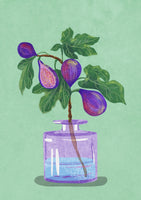 aluminium-print-figs-branch-in-vase