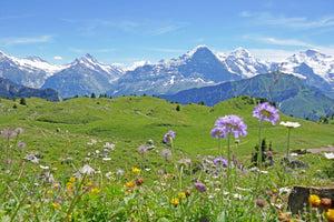 modern-3-piece-canvas-print-alps-eiger-bernese-oberland-switzerland