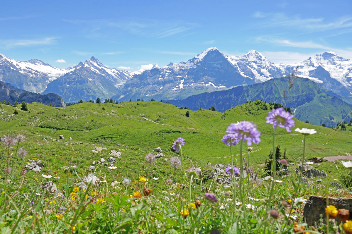 modern-3-piece-canvas-print-alps-eiger-bernese-oberland-switzerland