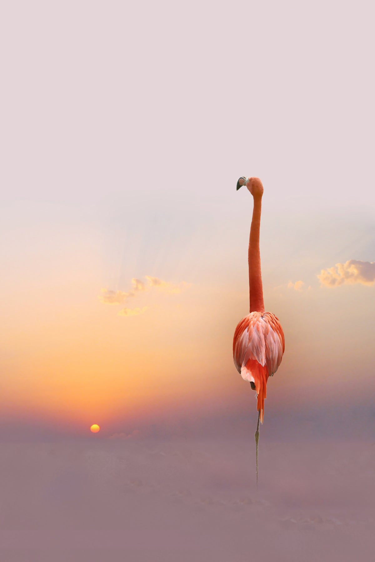 aluminium-print-sunset-2