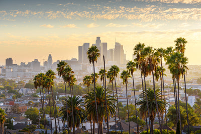 poster-print-view-of-los-angeles-at-sunset