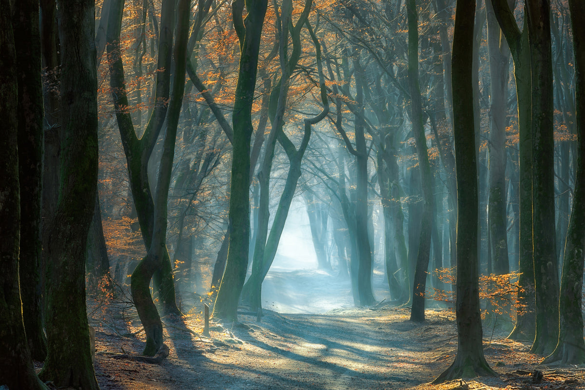acrylic-print-cold-light-x