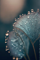framedposter-print-dewy-dreams