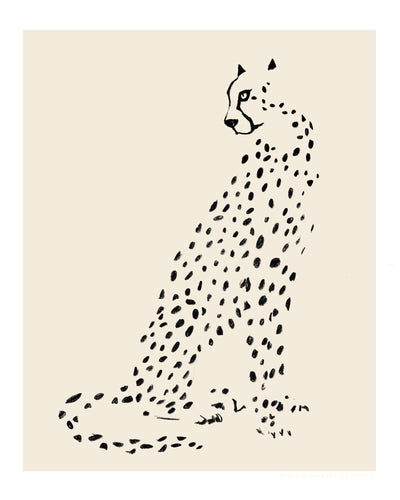 poster-print-pandc-leopard
