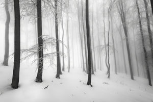 3-piece-canvas-print-silence-of-the-forest