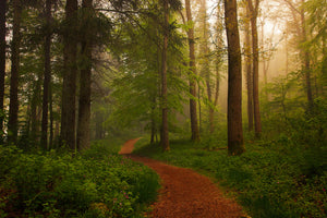aluminium-print-the-red-path-x