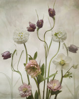 aluminium-print-spring-garden