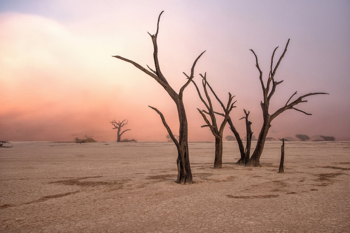 modern-3-piece-acrylic-print-fog-in-deadvlei