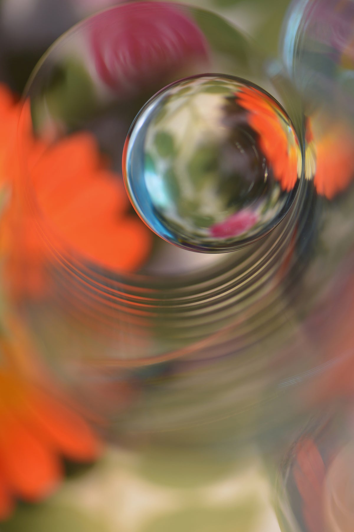 aluminium-print-floral-sphere