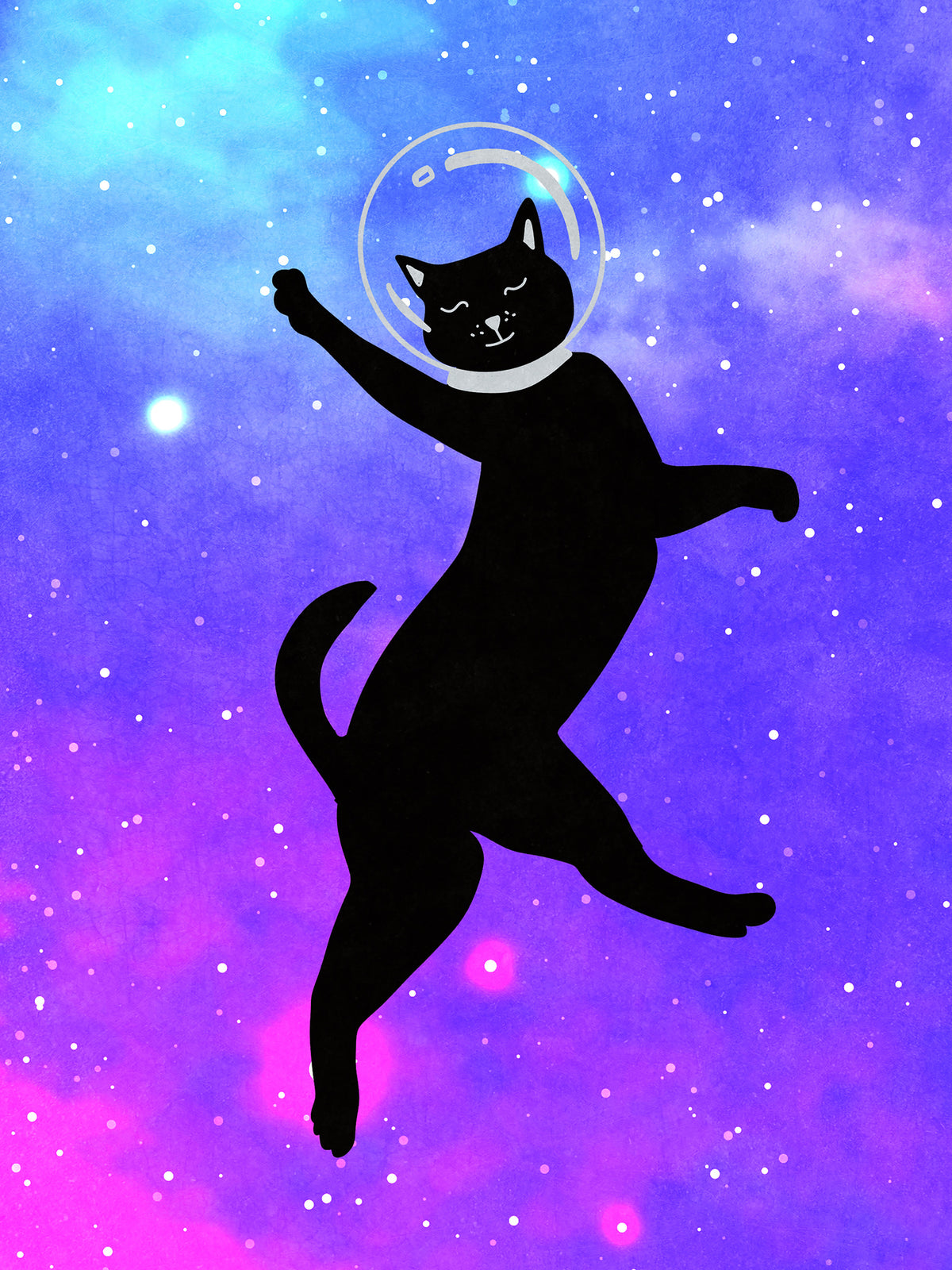 aluminium-print-happy-space-cat