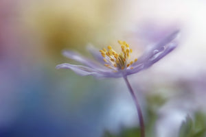 3-piece-aluminium-print-springtime-watercolor