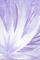framedcanvas-print-dynamic-flowing-brushstrokes