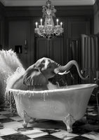 poster-print-big-elephant-splash