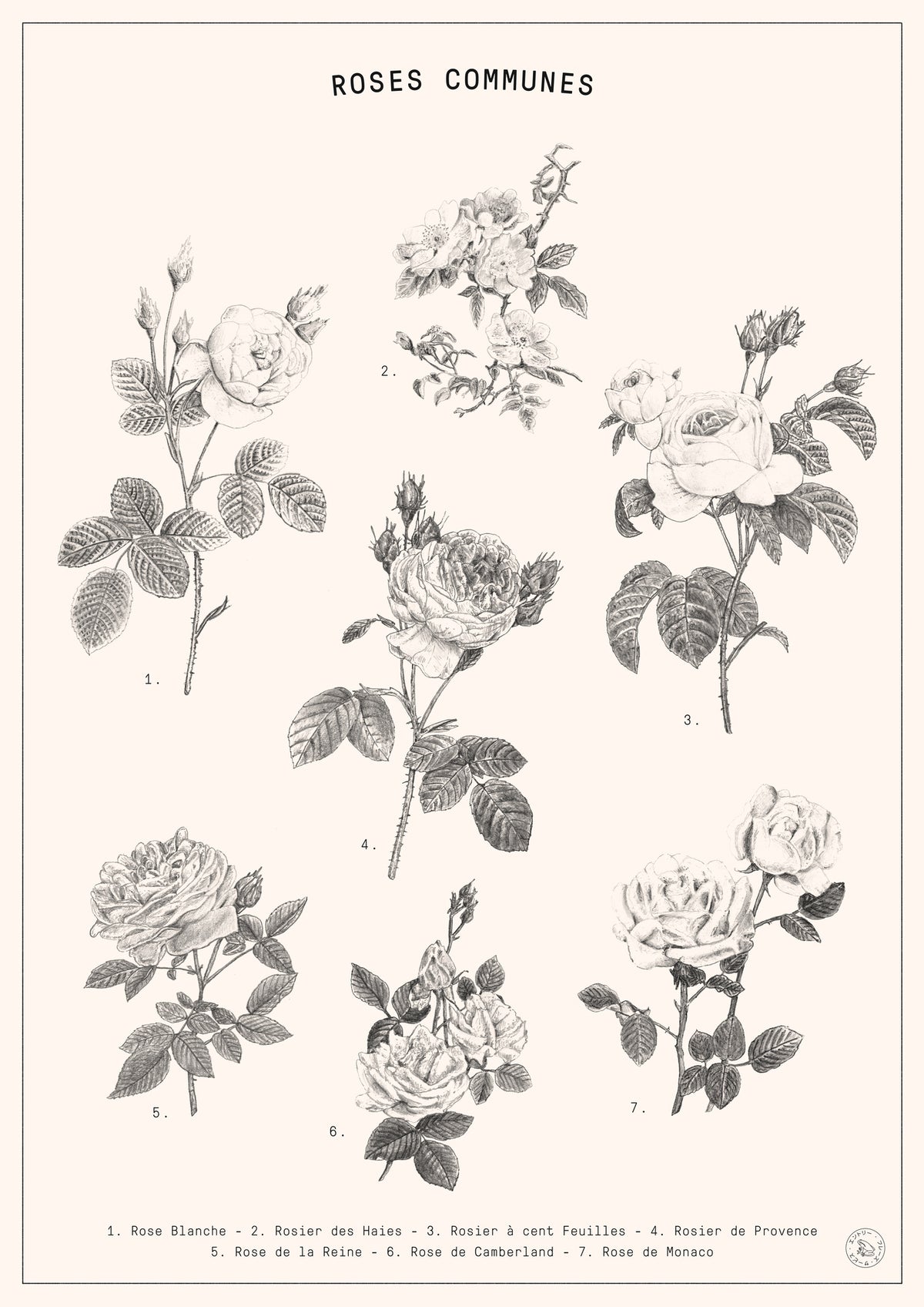 canvas-print-roses-2