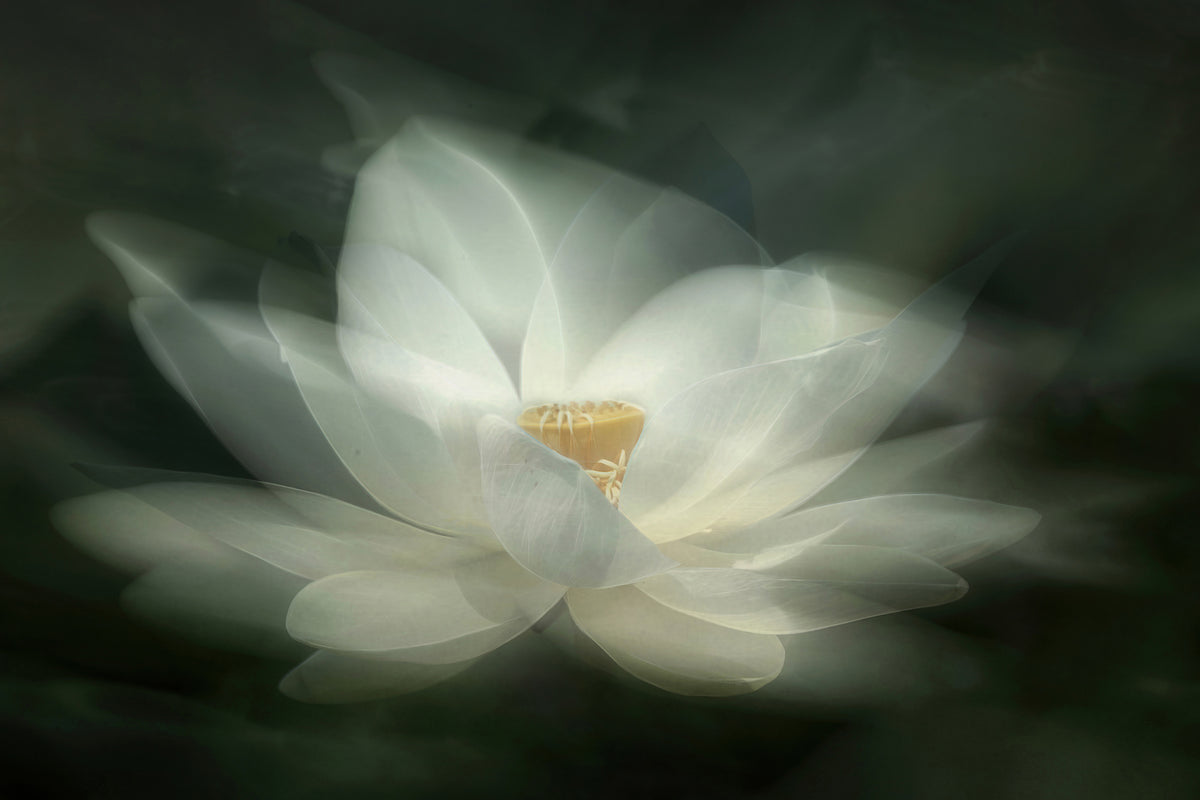 acrylic-print-swaying-x