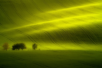 poster-print-sunlight-xow
