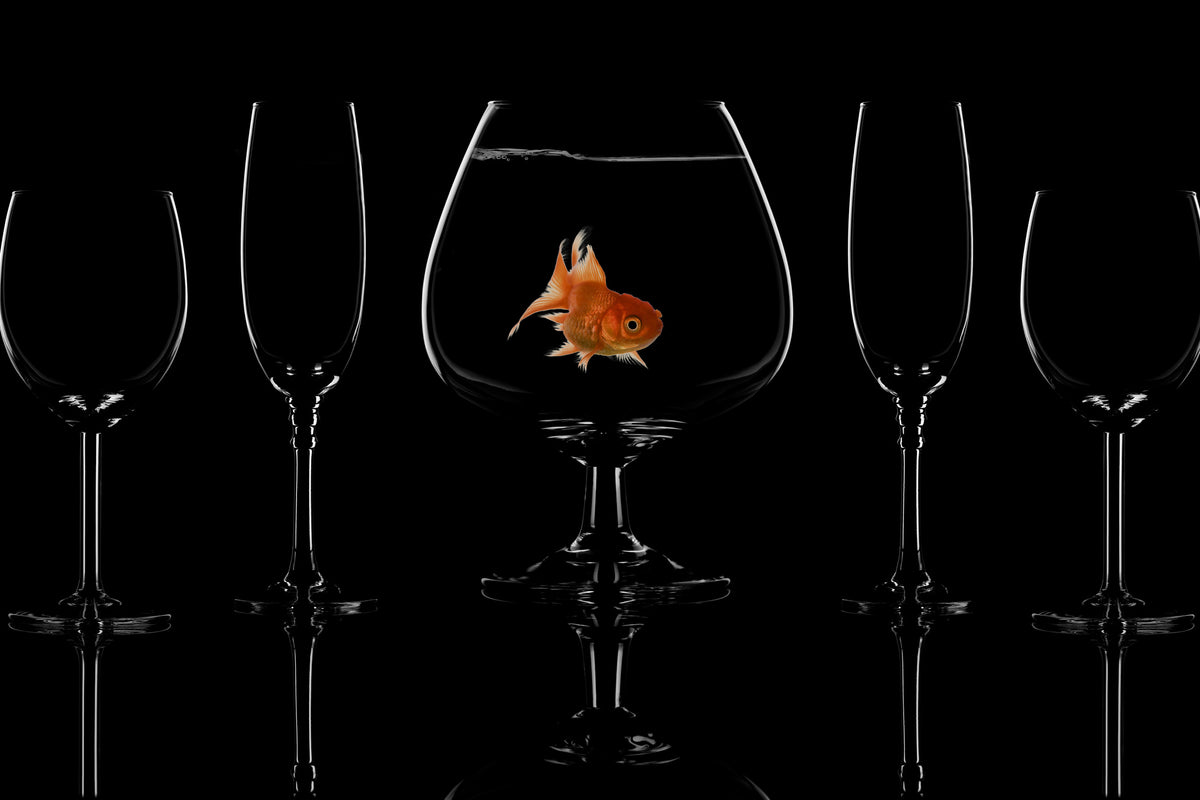 modern-3-piece-acrylic-print-glass-fish