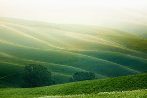 modern-3-piece-acrylic-print-tuscany