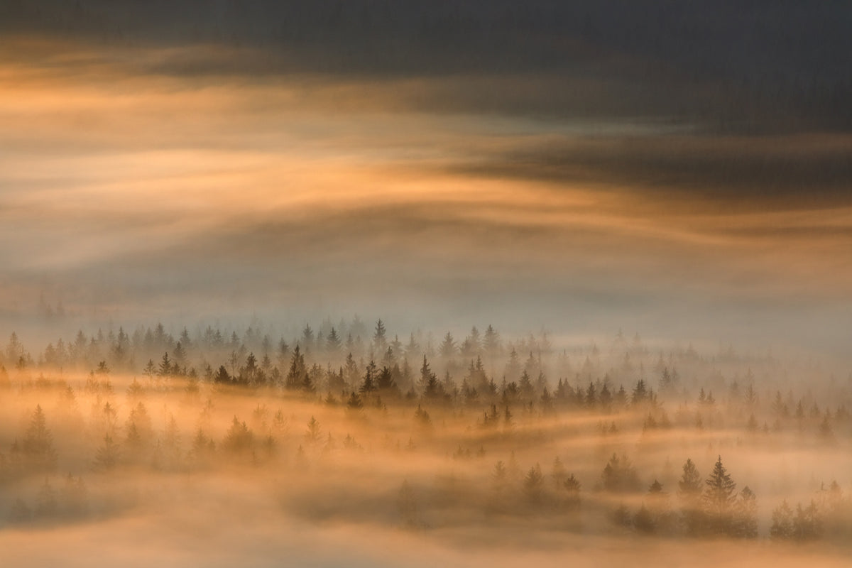 modern-3-piece-canvas-print-golden-twilight