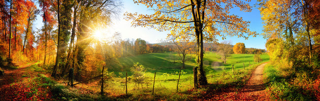 panoramic-poster-print-enchanting-landscape-in-fall