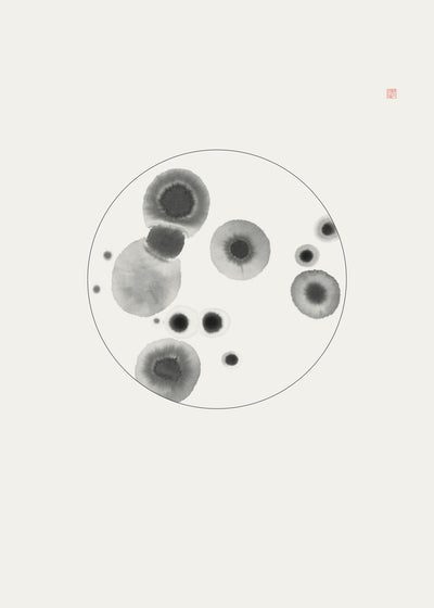 poster-print-petri-dish