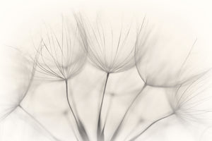 acrylic-print-no-title