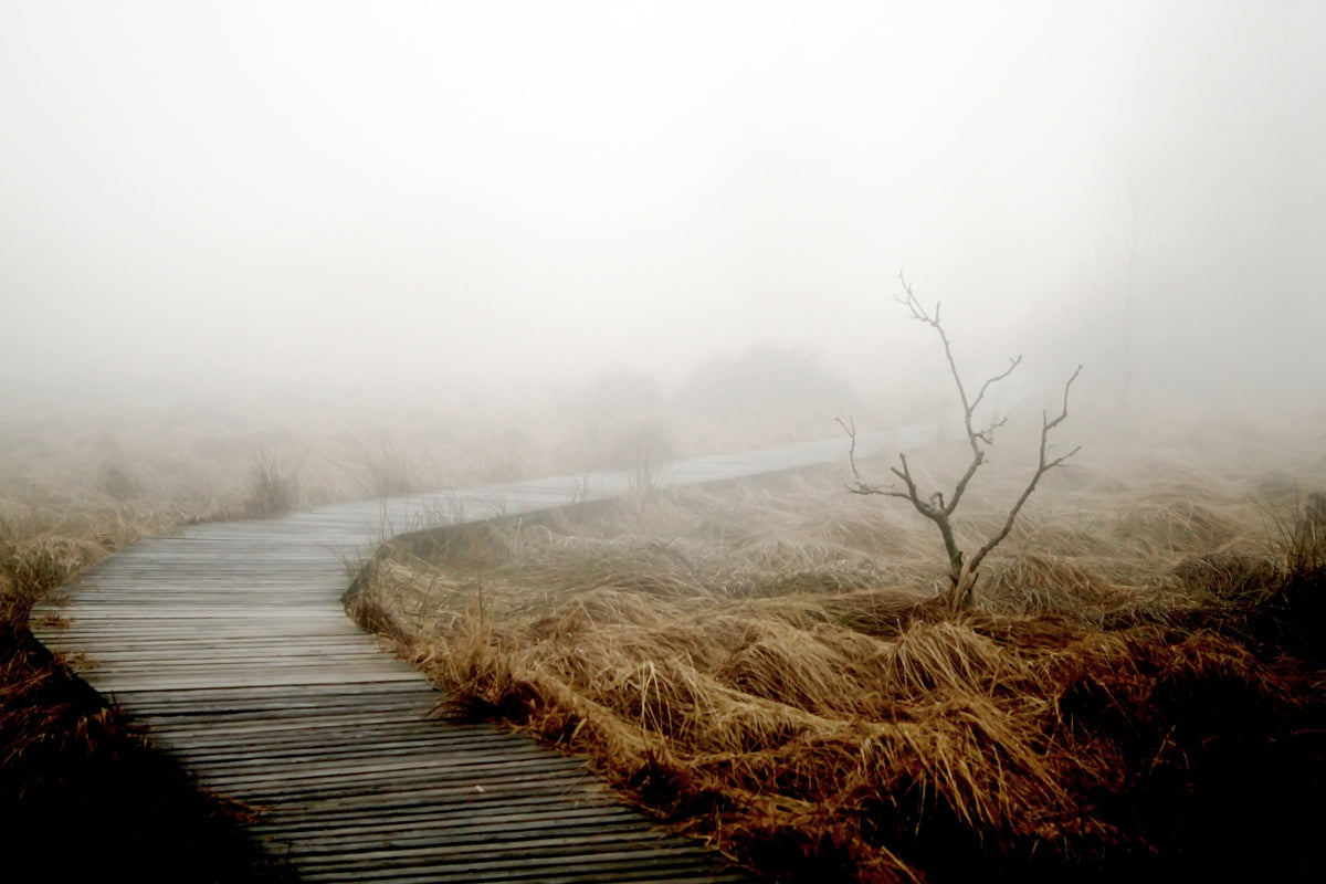 aluminium-print-dense-fog
