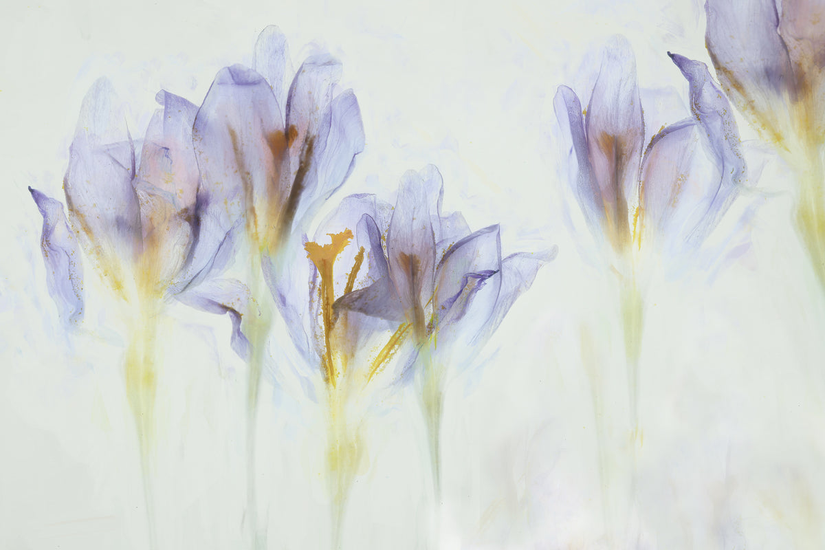 3-piece-acrylic-print-spring-6