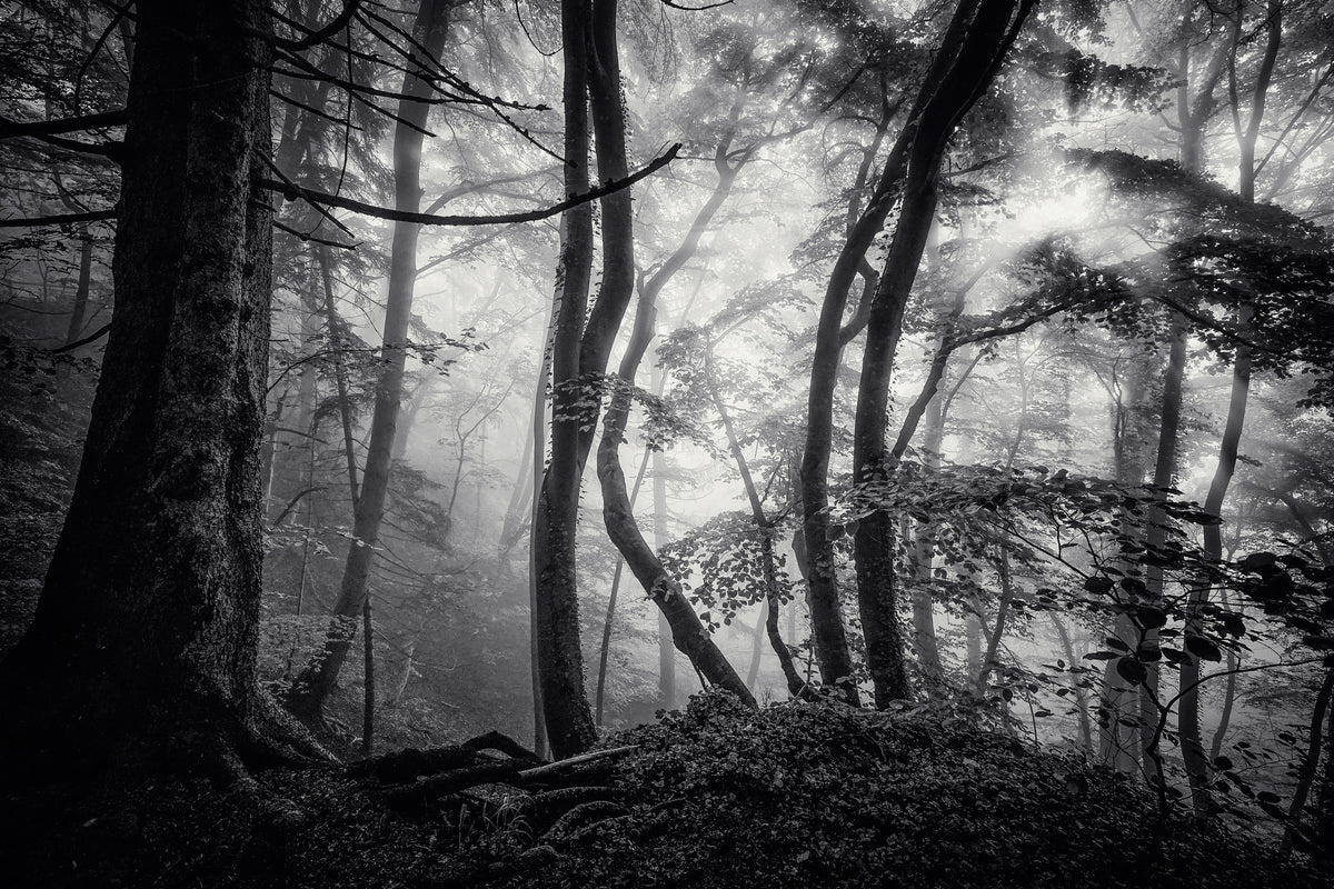 acrylic-print-mysterious-light
