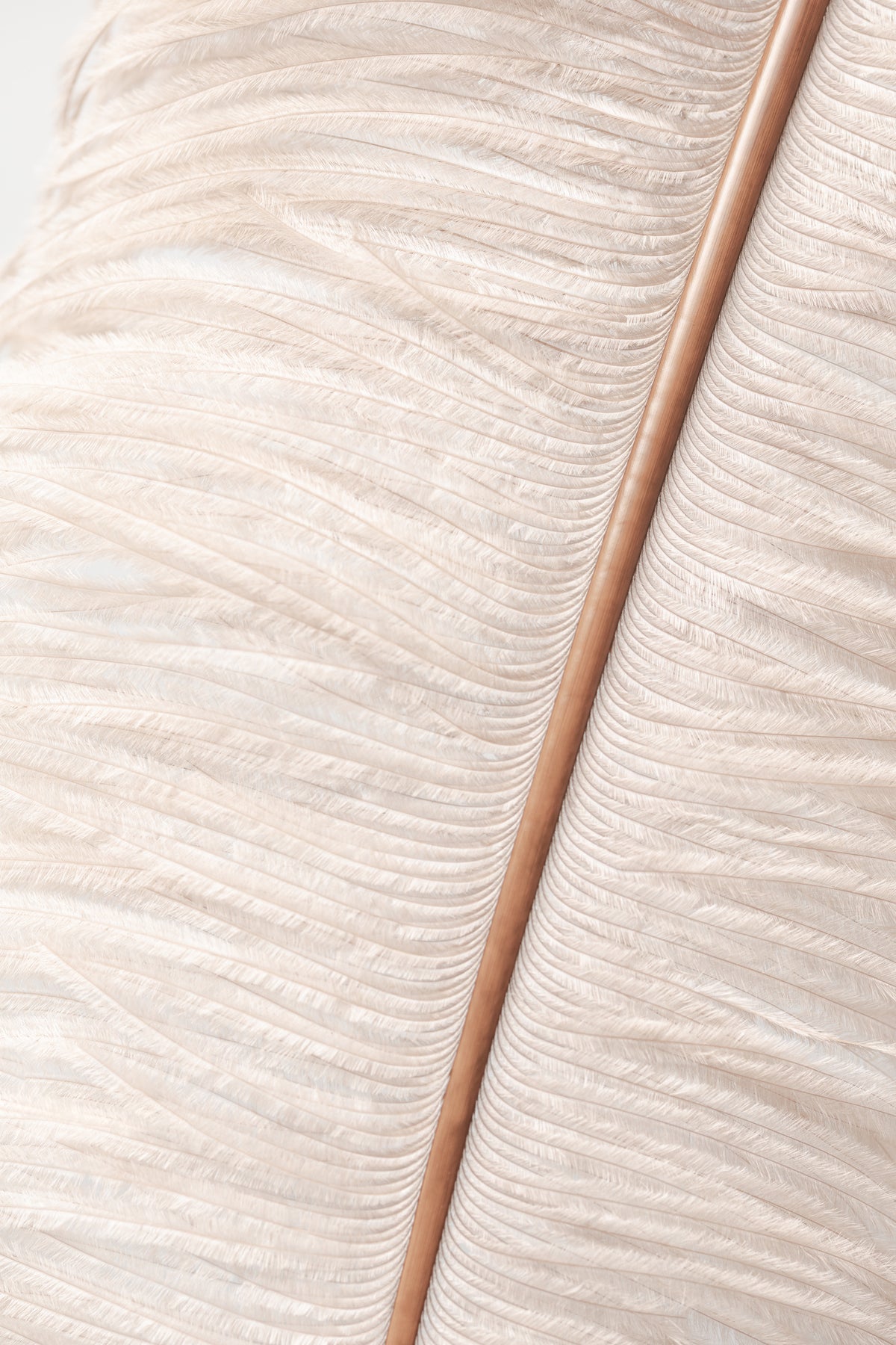 framedposter-print-feather-2