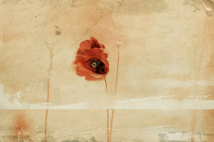 3-piece-canvas-print-fragment